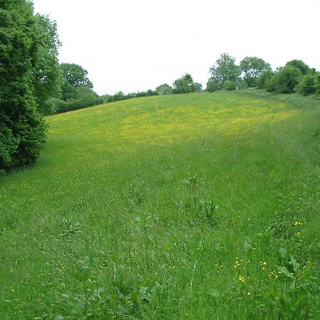 Lower Bache House Leominster Esterno foto