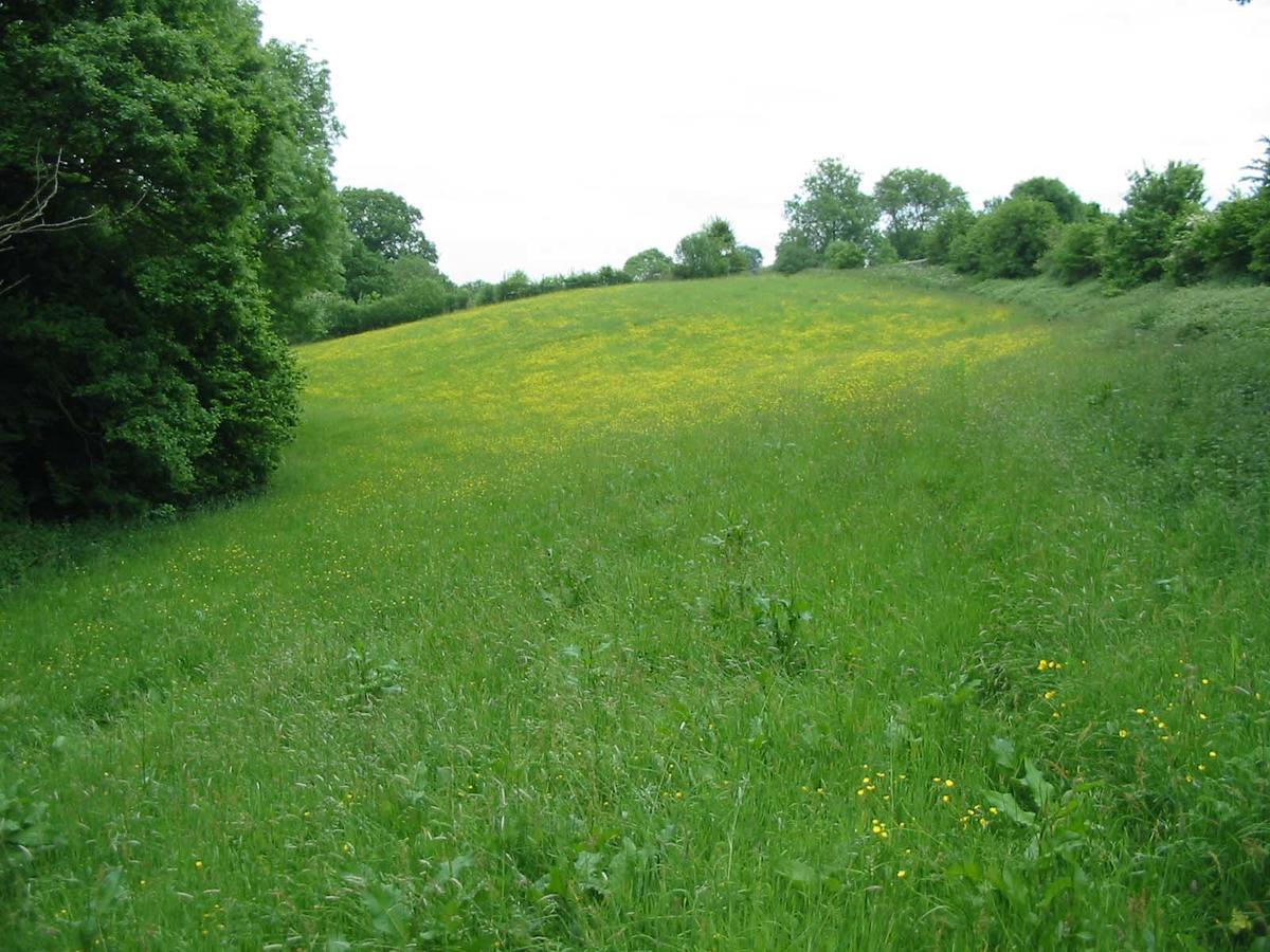 Lower Bache House Leominster Esterno foto